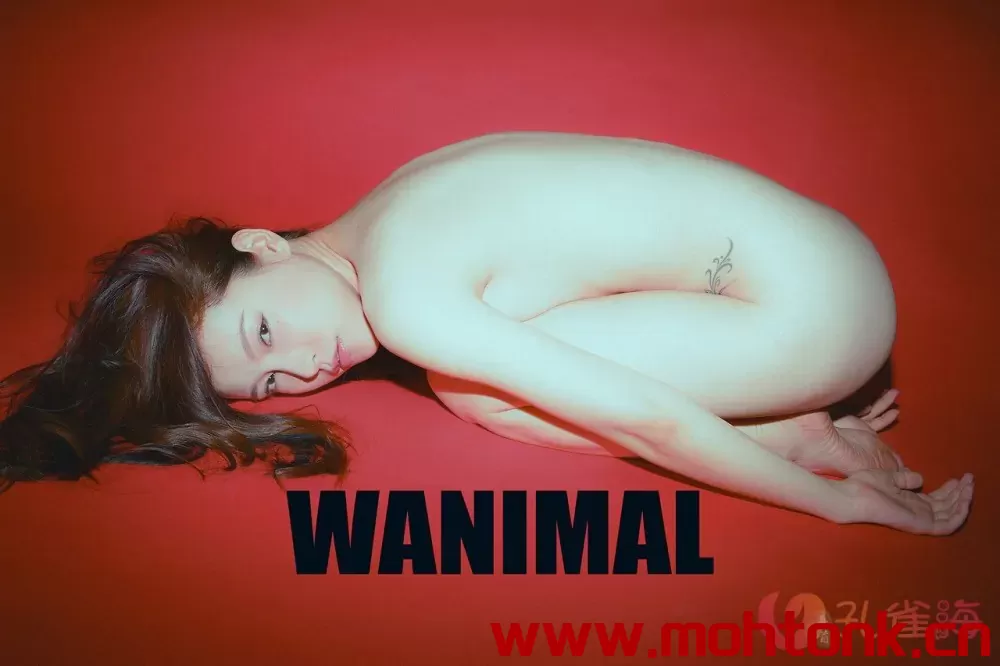 [合集]珍藏写真《WANIMAL王动》系列全套包含高清视频和套图，大小75.2G-幻想写真